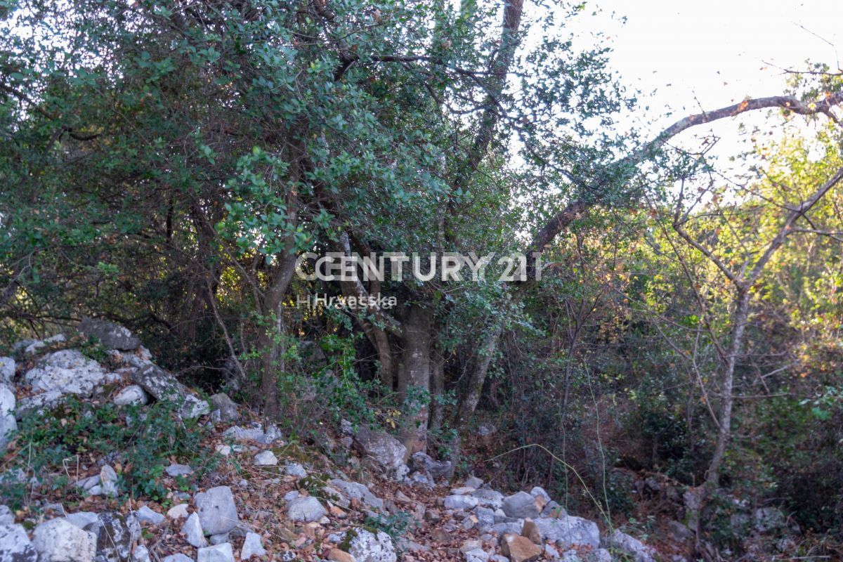 Prodaja, zemljišče, kmetijska površina, Istarska županija, Rovinj