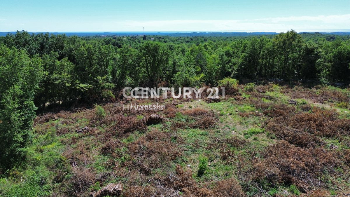 Prodaja, zemljišče, gradbeno, Istarska županija, Sveti Lovreč