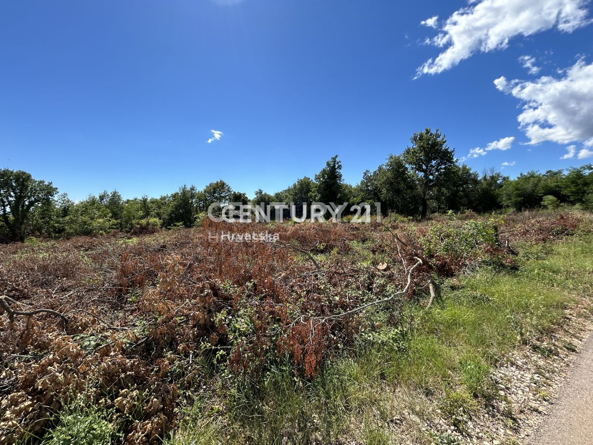 Prodaja, zemljišče, gradbeno, Istarska županija, Sveti Lovreč