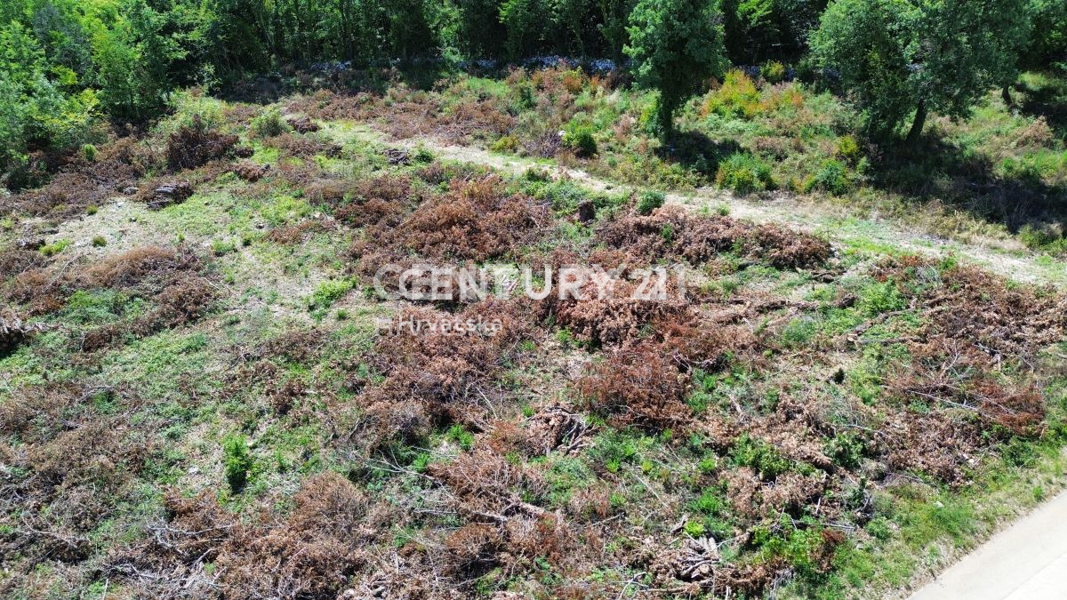 Prodaja, zemljišče, gradbeno, Istarska županija, Sveti Lovreč