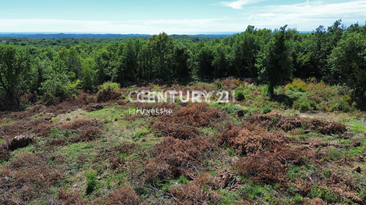 Prodaja, zemljišče, gradbeno, Istarska županija, Sveti Lovreč