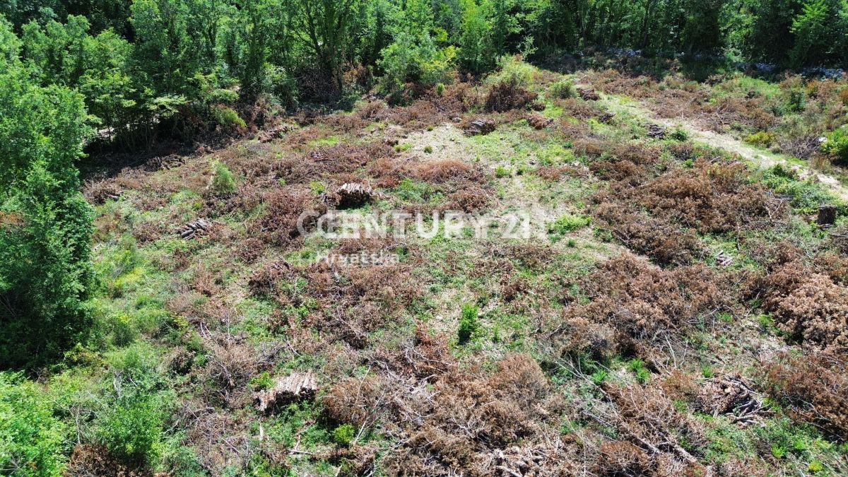 Prodaja, zemljišče, gradbeno, Istarska županija, Sveti Lovreč