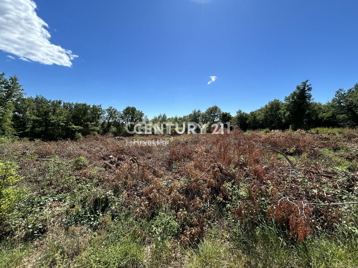 Prodaja, zemljišče, gradbeno, Istarska županija, Sveti Lovreč