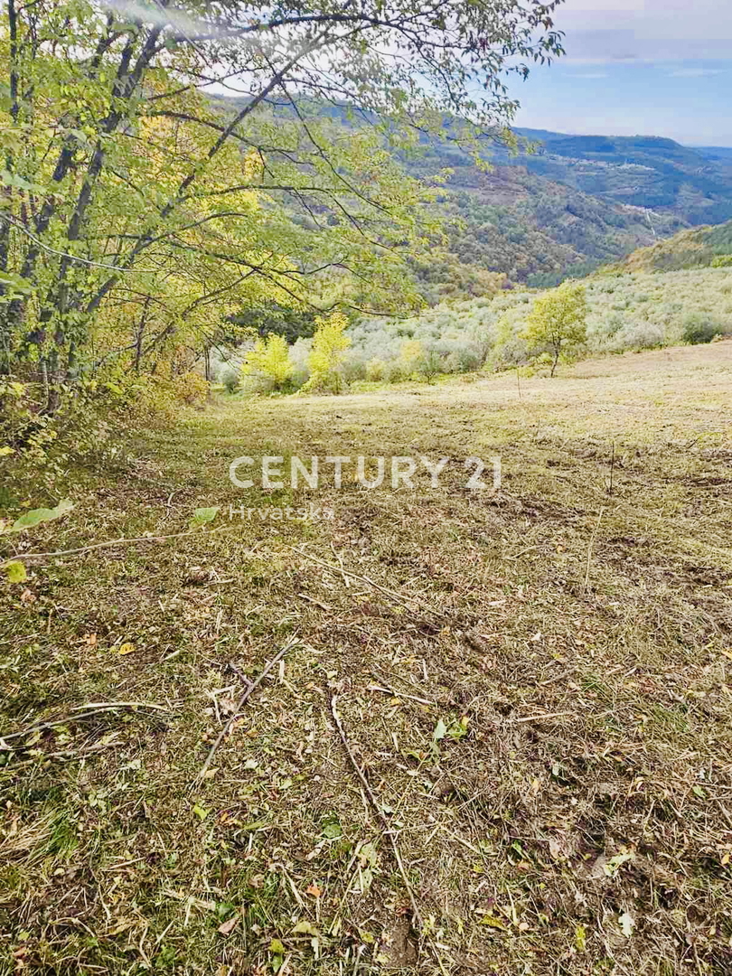 MOTOVUN, OKOLICA, GRADBENO ZEMLJIŠČE S PANORAMSKIM RAZGLEDOM