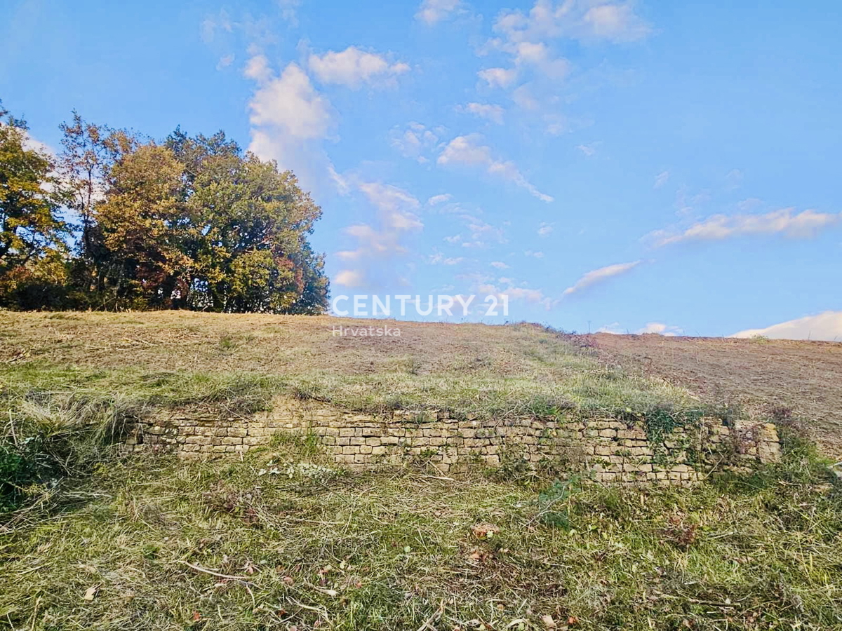 MOTOVUN, OKOLICA, GRADBENO ZEMLJIŠČE S PANORAMSKIM RAZGLEDOM