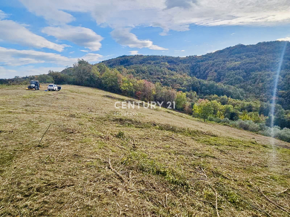 MOTOVUN, OKOLICA, GRADBENO ZEMLJIŠČE S PANORAMSKIM RAZGLEDOM