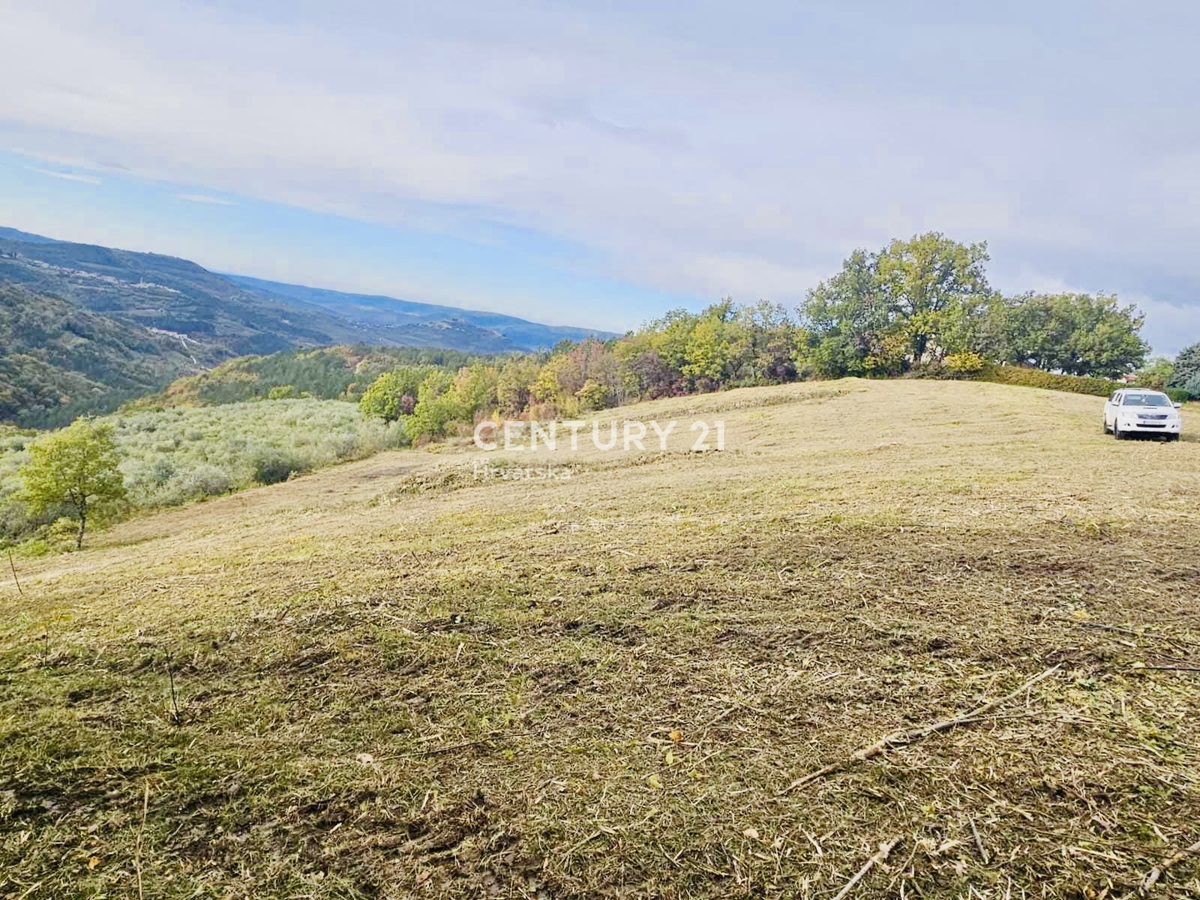 MOTOVUN, OKOLICA, GRADBENO ZEMLJIŠČE S PANORAMSKIM RAZGLEDOM