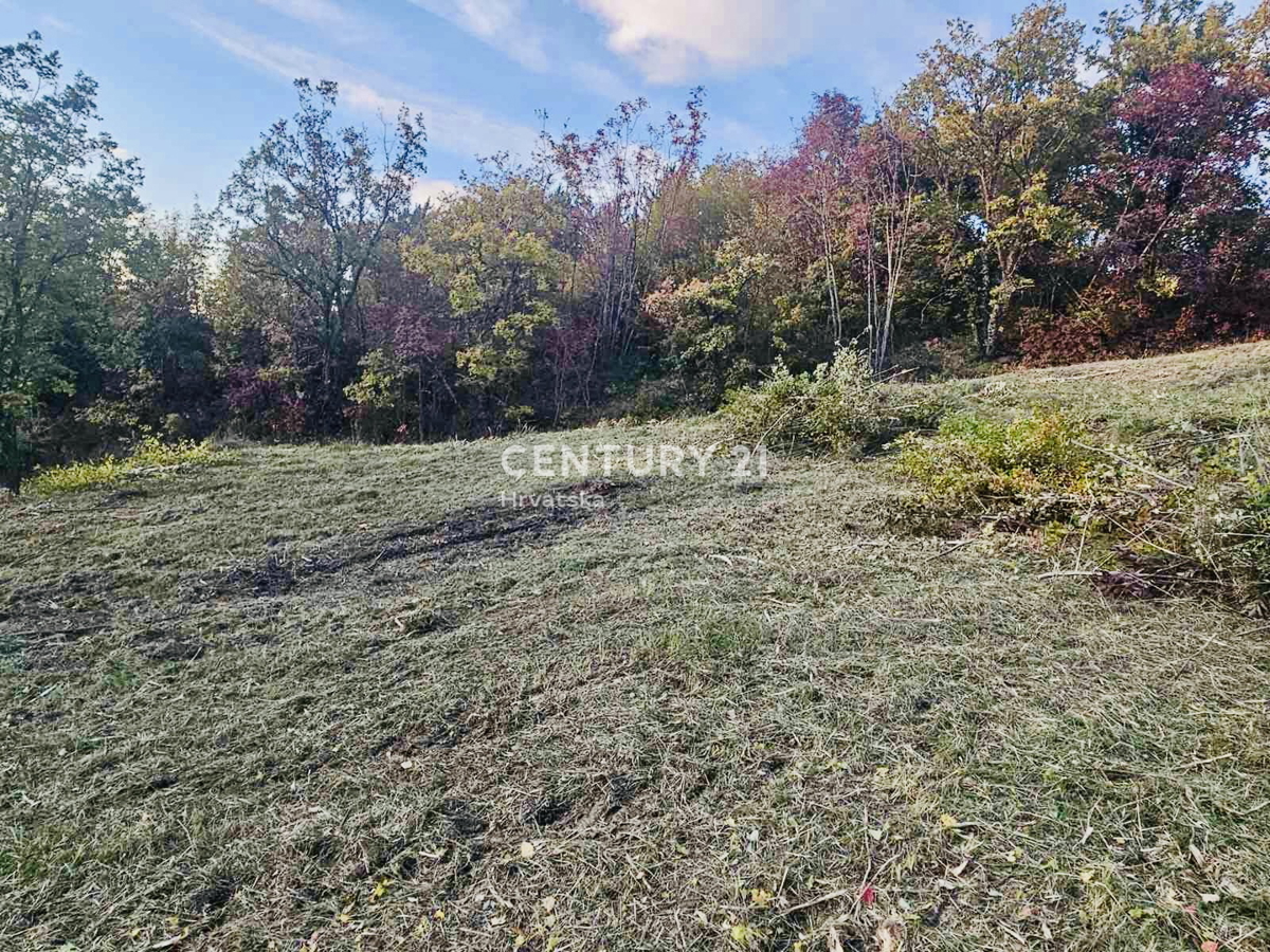 MOTOVUN, OKOLICA, GRADBENO ZEMLJIŠČE S PANORAMSKIM RAZGLEDOM