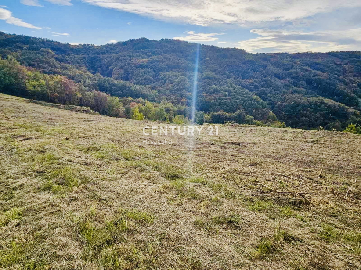 MOTOVUN, OKOLICA, GRADBENO ZEMLJIŠČE S PANORAMSKIM RAZGLEDOM