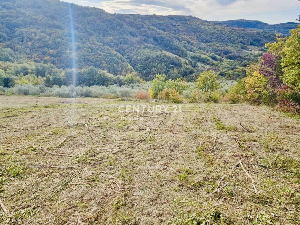 MOTOVUN, OKOLICA, GRADBENO ZEMLJIŠČE S PANORAMSKIM RAZGLEDOM