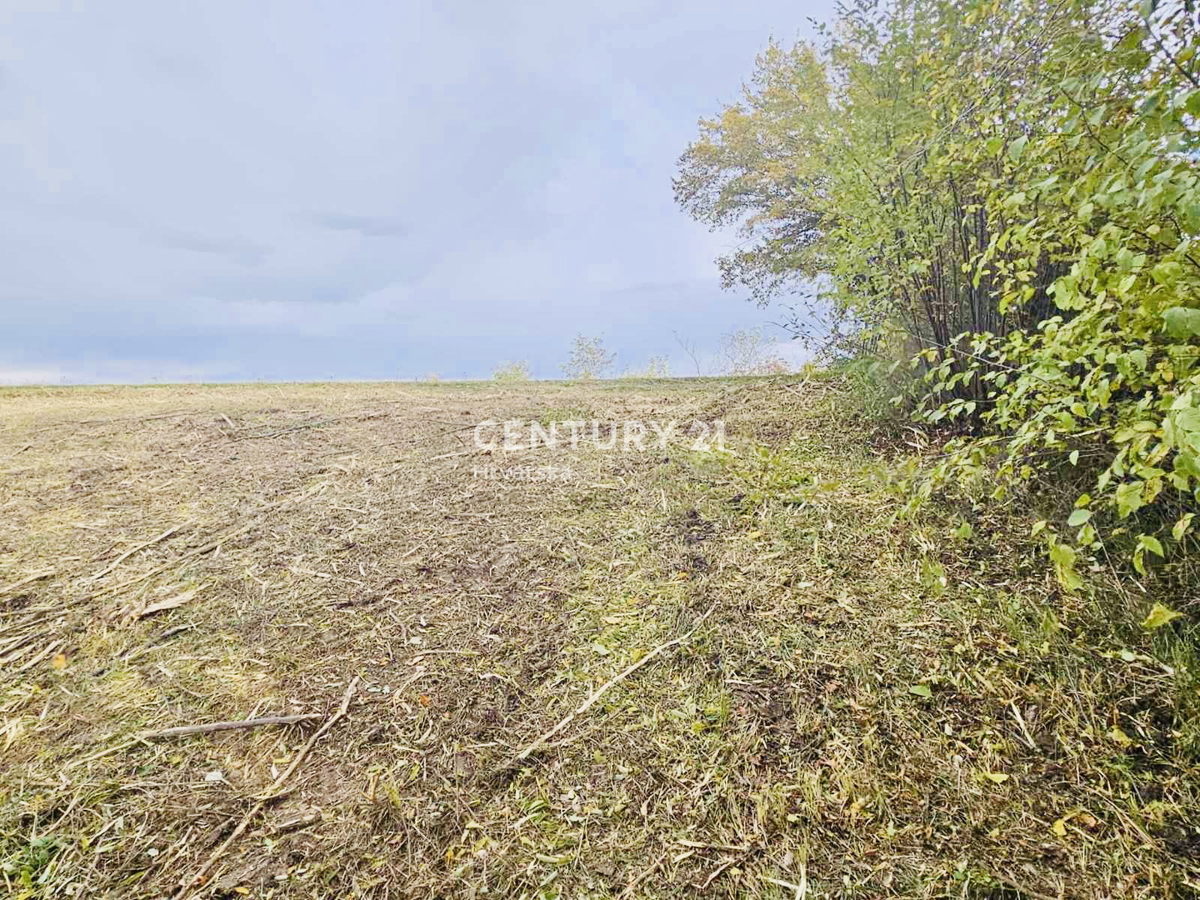 MOTOVUN, OKOLICA, GRADBENO ZEMLJIŠČE S PANORAMSKIM RAZGLEDOM