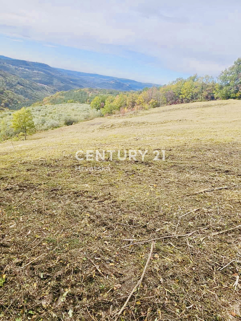 MOTOVUN, OKOLICA, GRADBENO ZEMLJIŠČE S PANORAMSKIM RAZGLEDOM