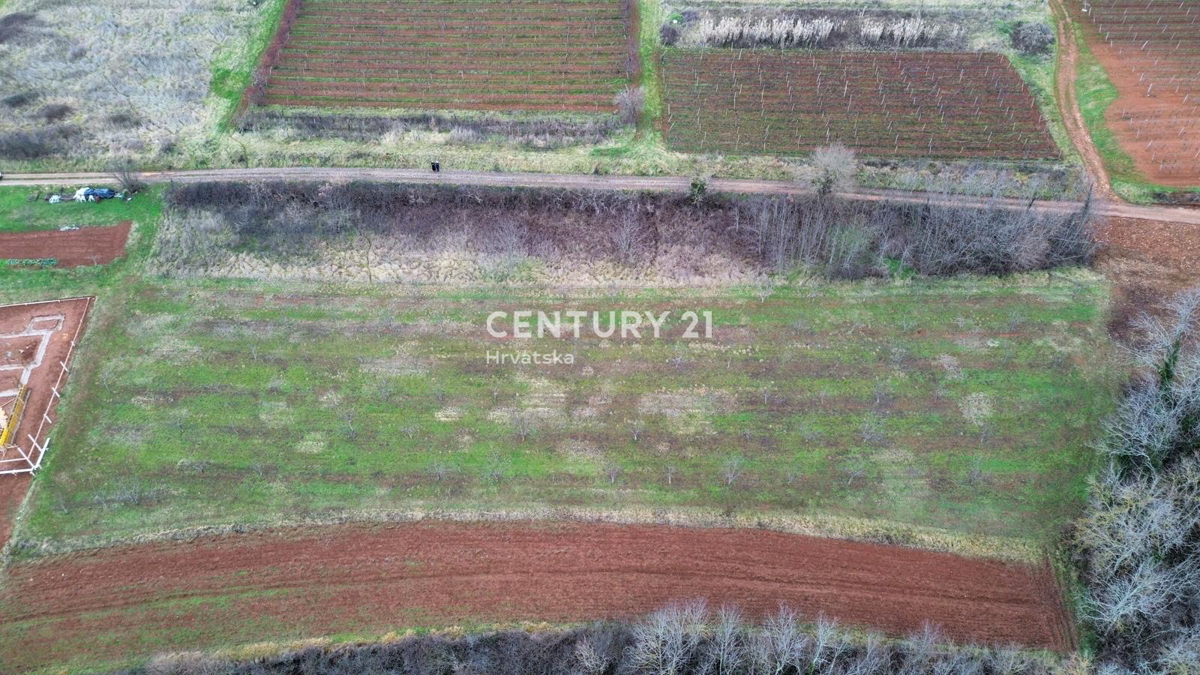 VIŽINADA, PRODAJA GRADBENEGA IN KMETIJSKEGA ZEMLJIŠČA