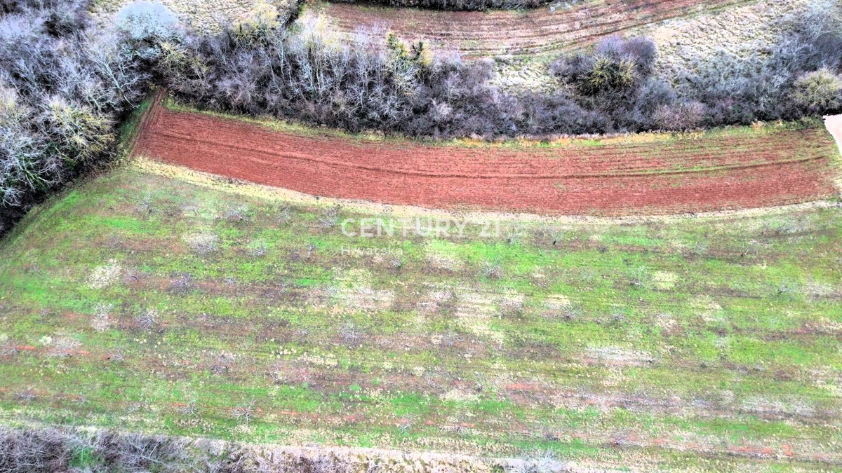 VIŽINADA, PRODAJA GRADBENEGA IN KMETIJSKEGA ZEMLJIŠČA