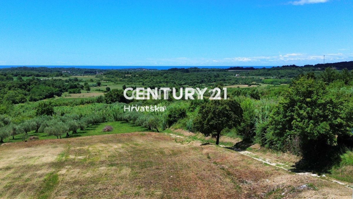 BUJE, ATRAKTIVNO GRADBENIŠKO ZEMLJIŠČE S PANORAMSKIM RAZGLEDOM NA MORJE