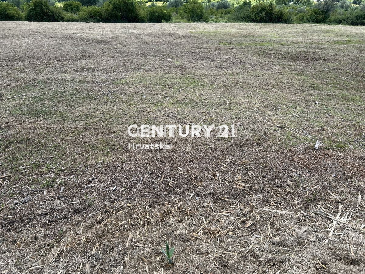 BUJE, ATRAKTIVNO GRADBENIŠKO ZEMLJIŠČE S PANORAMSKIM RAZGLEDOM NA MORJE