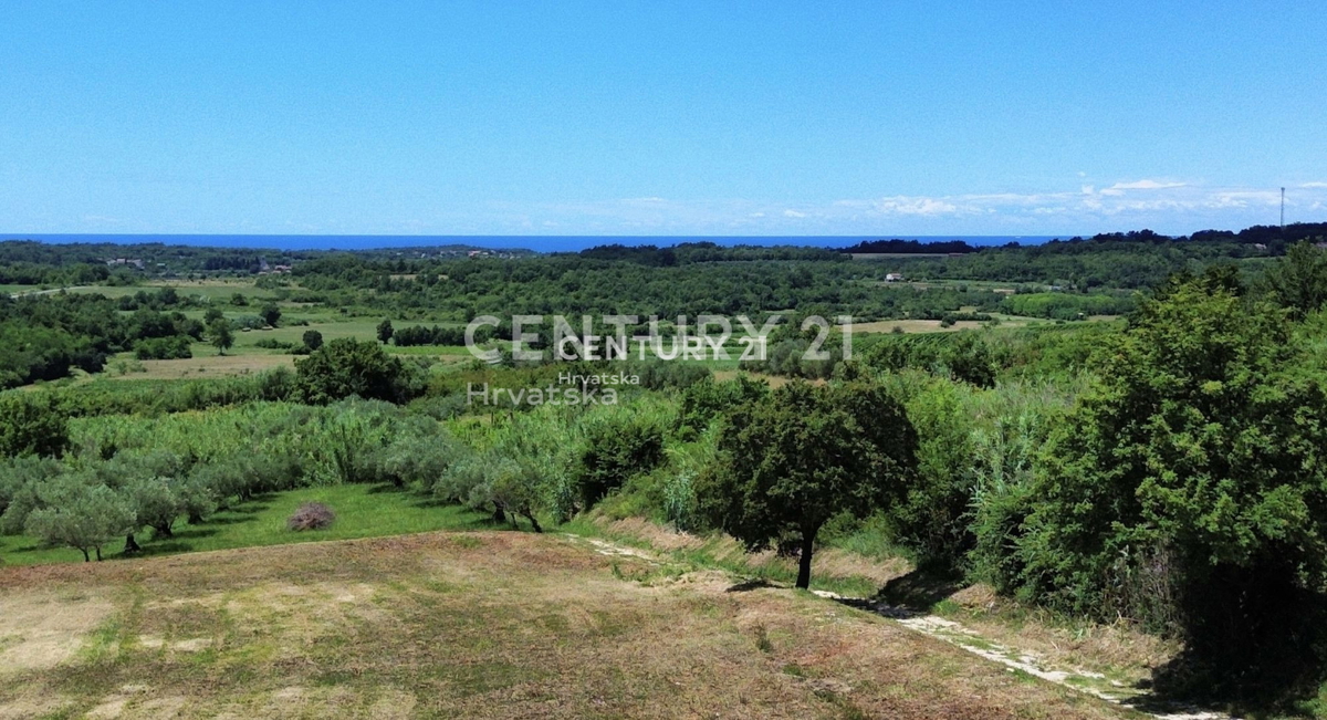 BUJE, ATRAKTIVNO GRADBENIŠKO ZEMLJIŠČE S PANORAMSKIM RAZGLEDOM NA MORJE