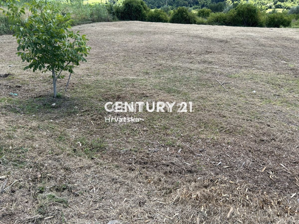 BUJE, ATRAKTIVNO GRADBENIŠKO ZEMLJIŠČE S PANORAMSKIM RAZGLEDOM NA MORJE