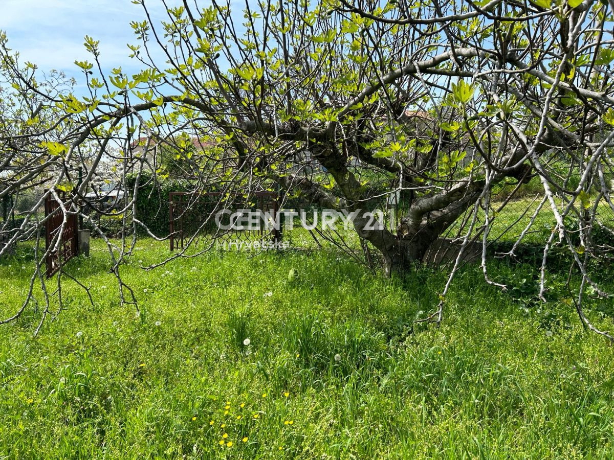 BUJE, MOMJAN, OKOLICA, SAMOSTOJEČA KAMNITA HIŠA