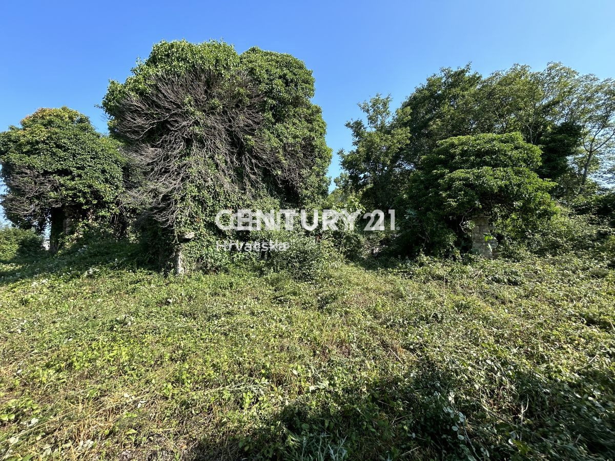 Prodaja, Hiša, Samostojna, Istarska županija, Buje