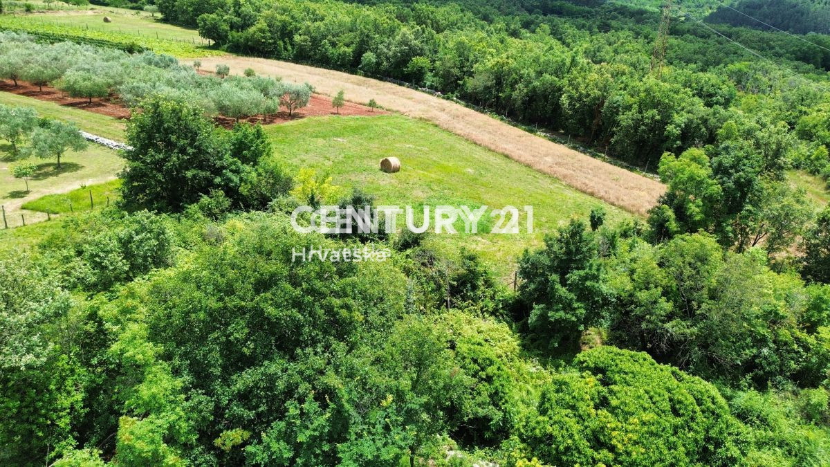 Prodaja, Hiša, Samostojna, Istarska županija, Buje