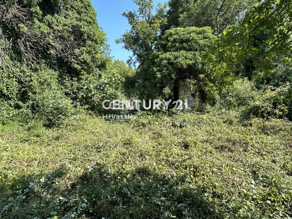 Prodaja, Hiša, Samostojna, Istarska županija, Buje