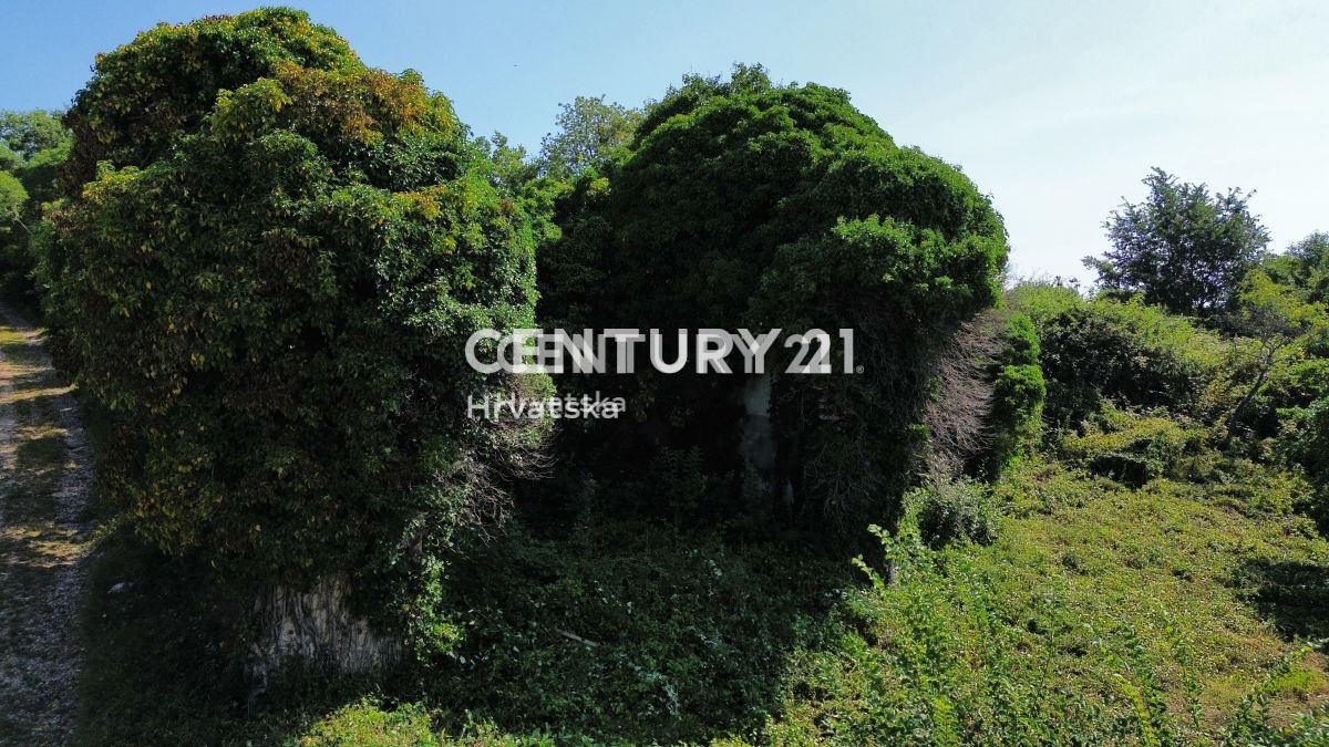 Prodaja, Hiša, Samostojna, Istarska županija, Buje