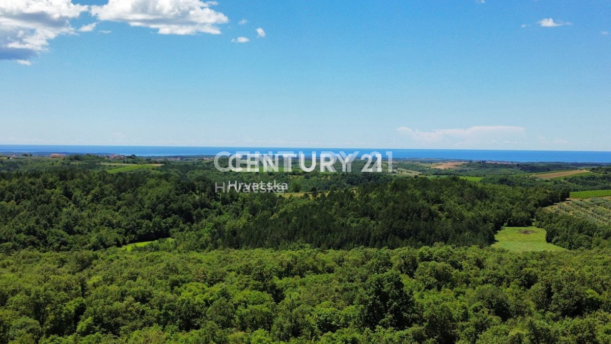 Prodaja, Hiša, Samostojna, Istarska županija, Buje