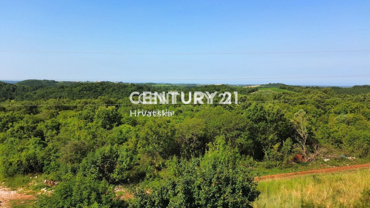 Prodaja, Hiša, Samostojna, Istarska županija, Buje