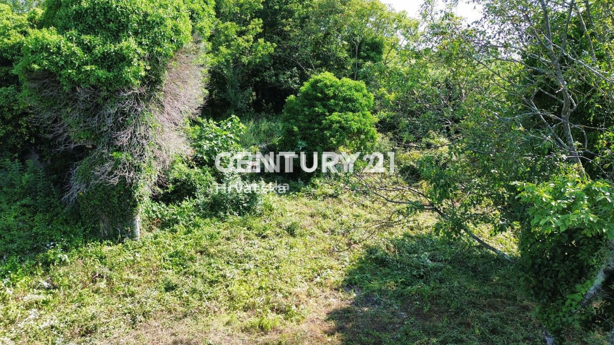 Prodaja, Hiša, Samostojna, Istarska županija, Buje