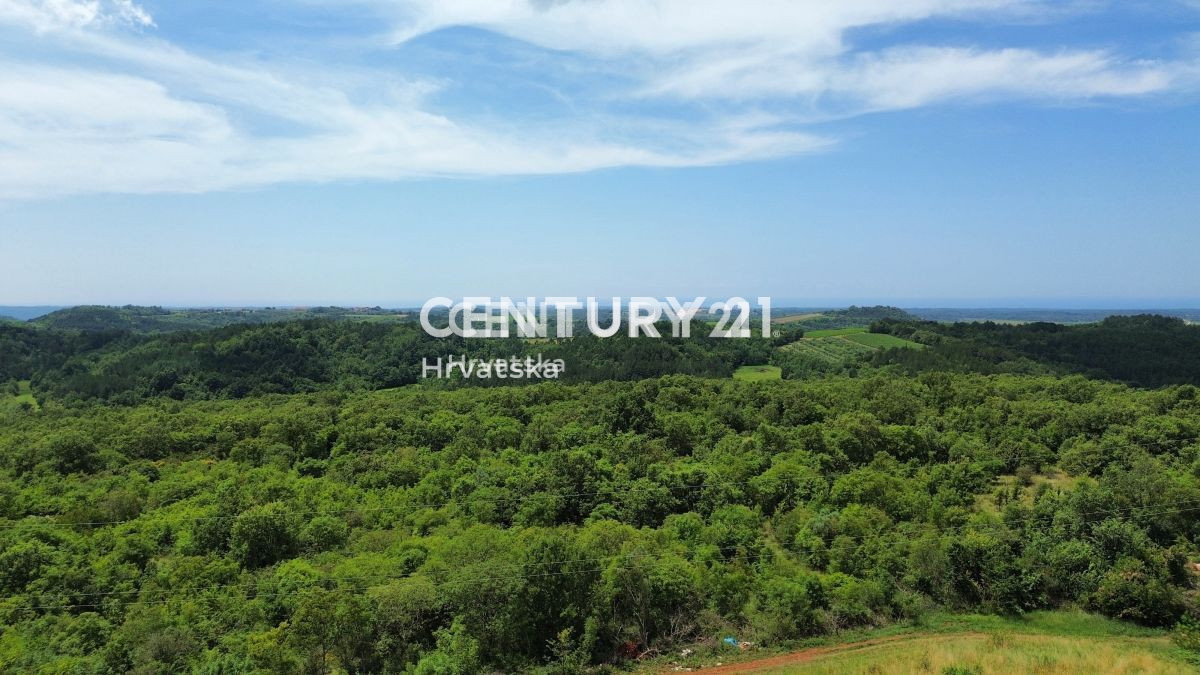 Prodaja, Hiša, Samostojna, Istarska županija, Buje