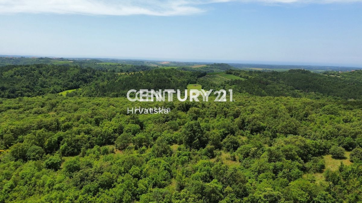 Prodaja, Hiša, Samostojna, Istarska županija, Buje