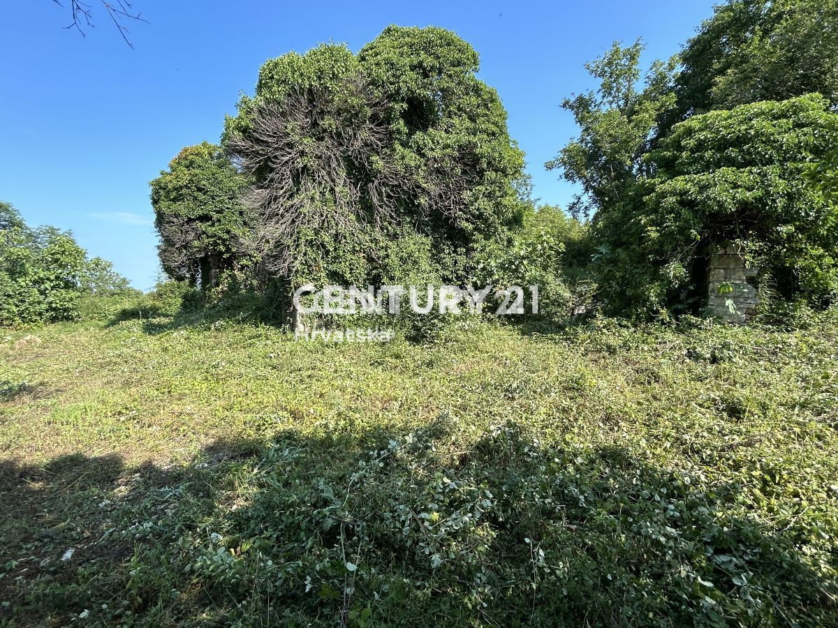 Prodaja, Hiša, Samostojna, Istarska županija, Buje