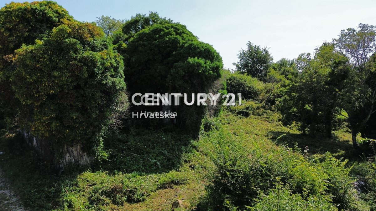 Prodaja, Hiša, Samostojna, Istarska županija, Buje