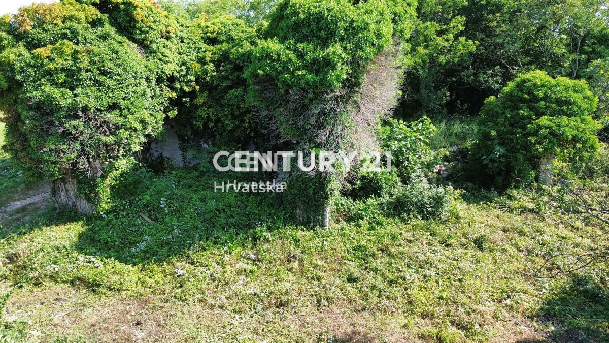 Prodaja, Hiša, Samostojna, Istarska županija, Buje