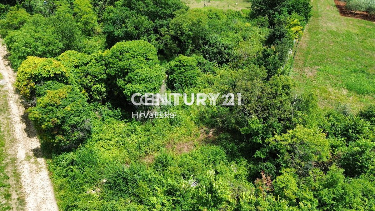 Prodaja, Hiša, Samostojna, Istarska županija, Buje