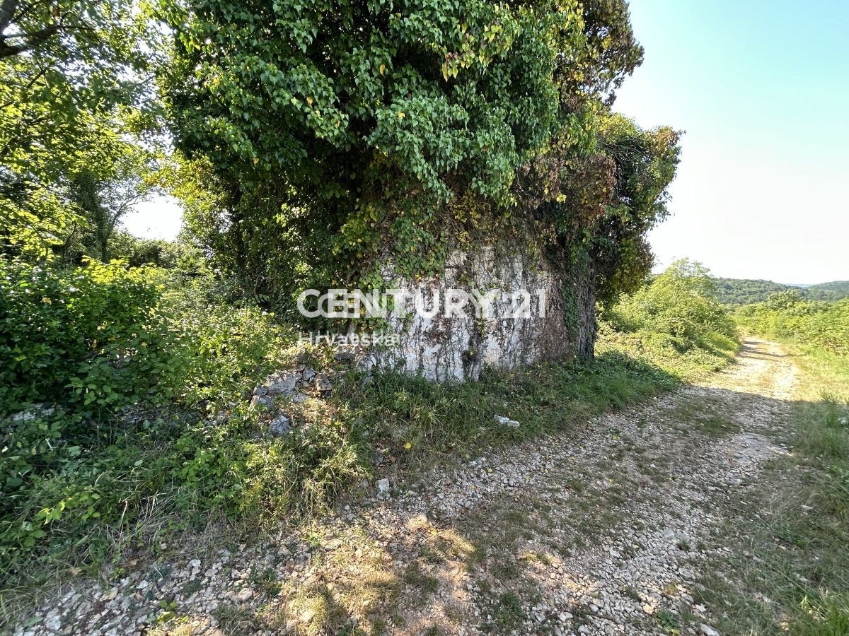 Prodaja, Hiša, Samostojna, Istarska županija, Buje