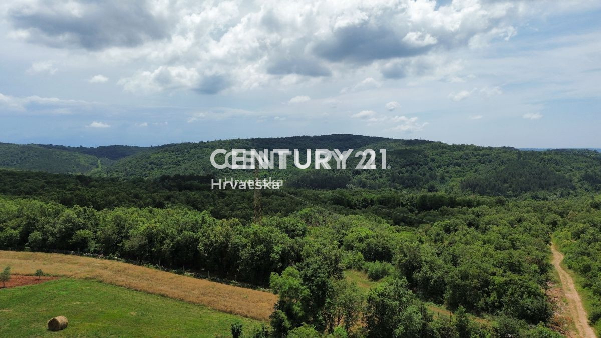 Prodaja, Hiša, Samostojna, Istarska županija, Buje