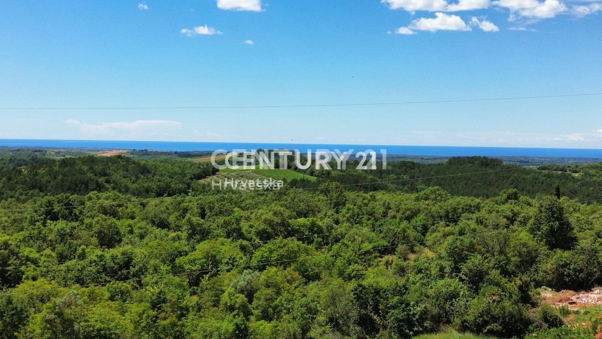 Prodaja, Hiša, Samostojna, Istarska županija, Buje