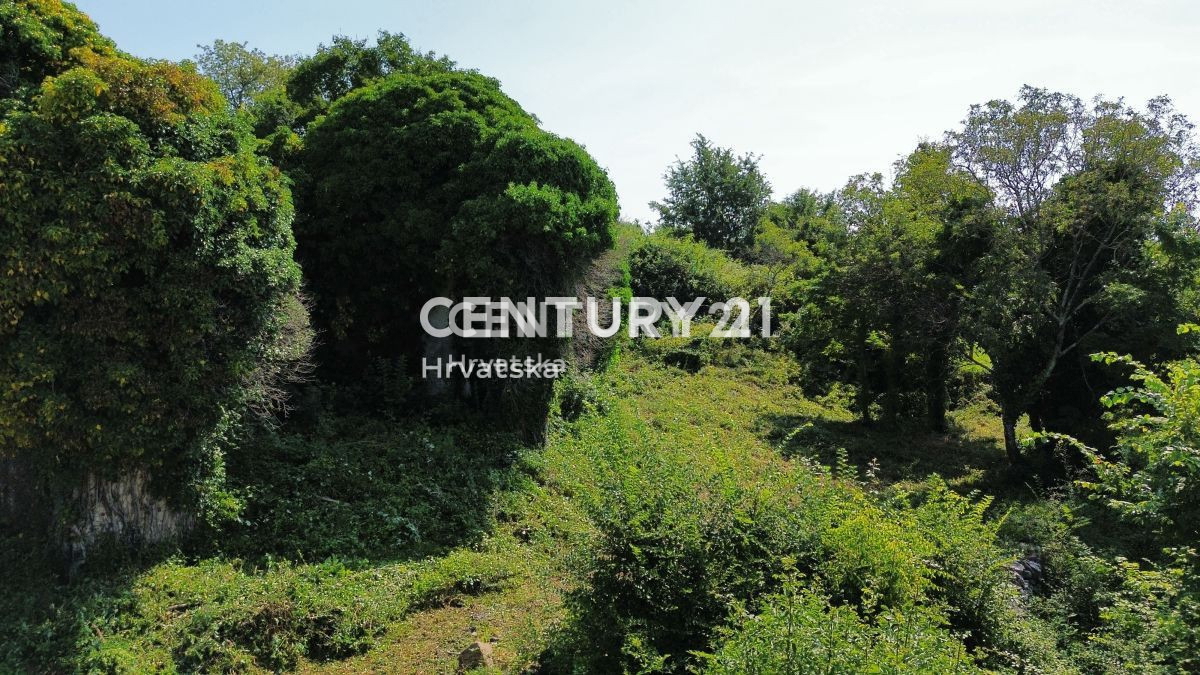 Prodaja, Hiša, Samostojna, Istarska županija, Buje