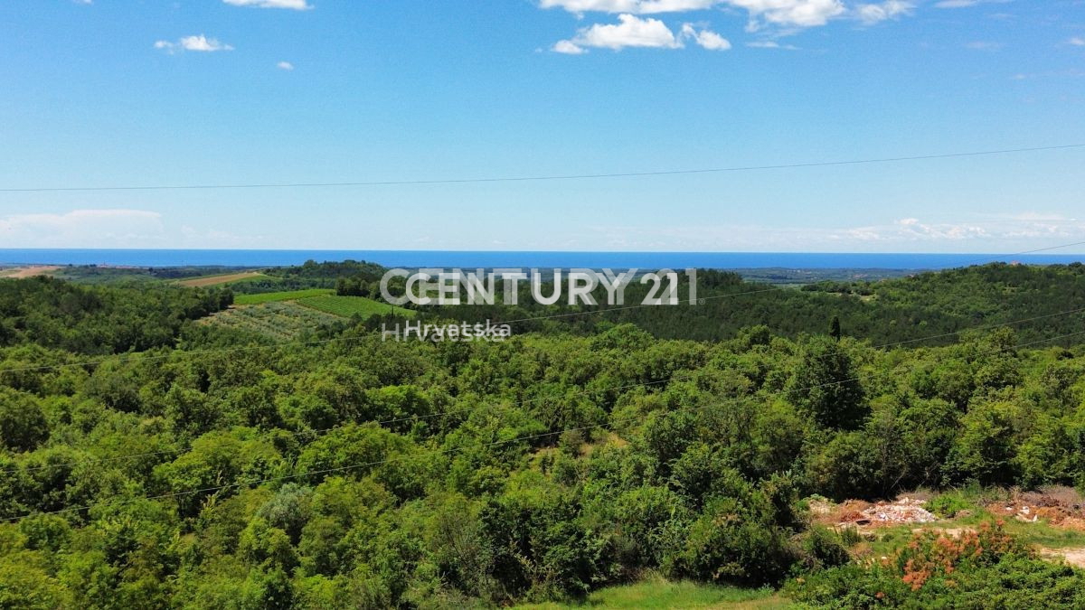 Prodaja, Hiša, Samostojna, Istarska županija, Buje