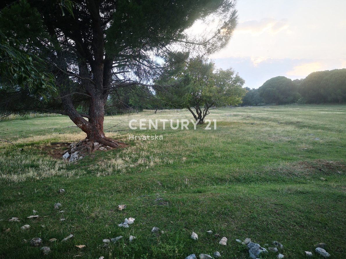 LABIN, MODERNA HIŠA Z ISTRSKIMI ELEMENTI, OKOLIŠENA Z ZELENJAVO IN TIŠINO