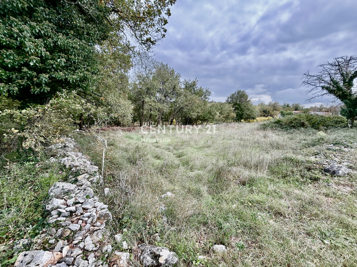 SVETI LOVREČ, OKOLICA, PRILOŽNOST, ODLIČNO GRADBENIŠKO ZEMLJIŠČE