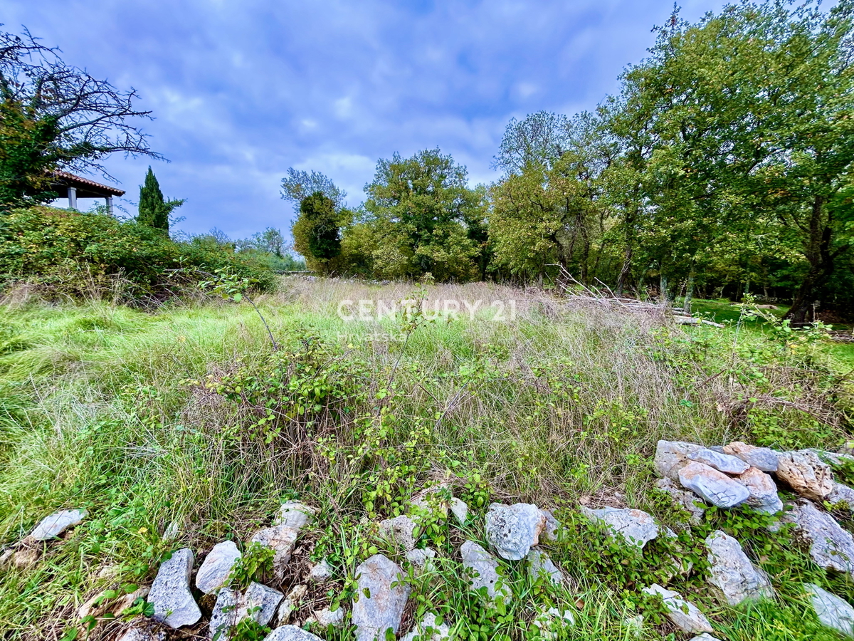 SVETI LOVREČ, OKOLICA, PRILOŽNOST, ODLIČNO GRADBENIŠKO ZEMLJIŠČE