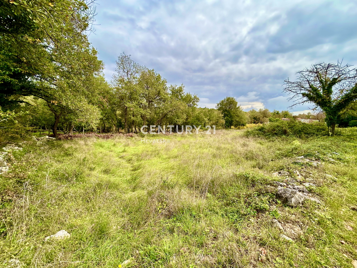 SVETI LOVREČ, OKOLICA, PRILOŽNOST, ODLIČNO GRADBENIŠKO ZEMLJIŠČE