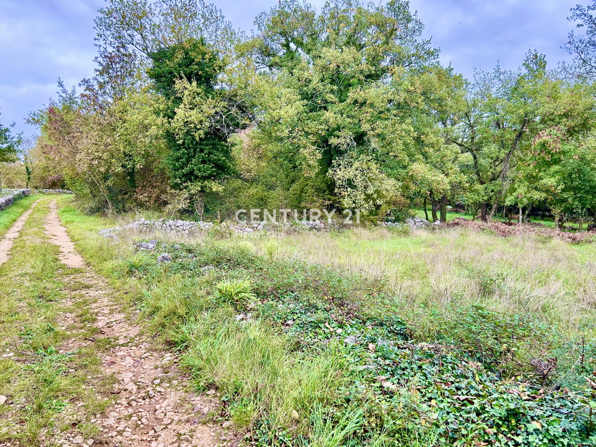 SVETI LOVREČ, OKOLICA, PRILOŽNOST, ODLIČNO GRADBENIŠKO ZEMLJIŠČE