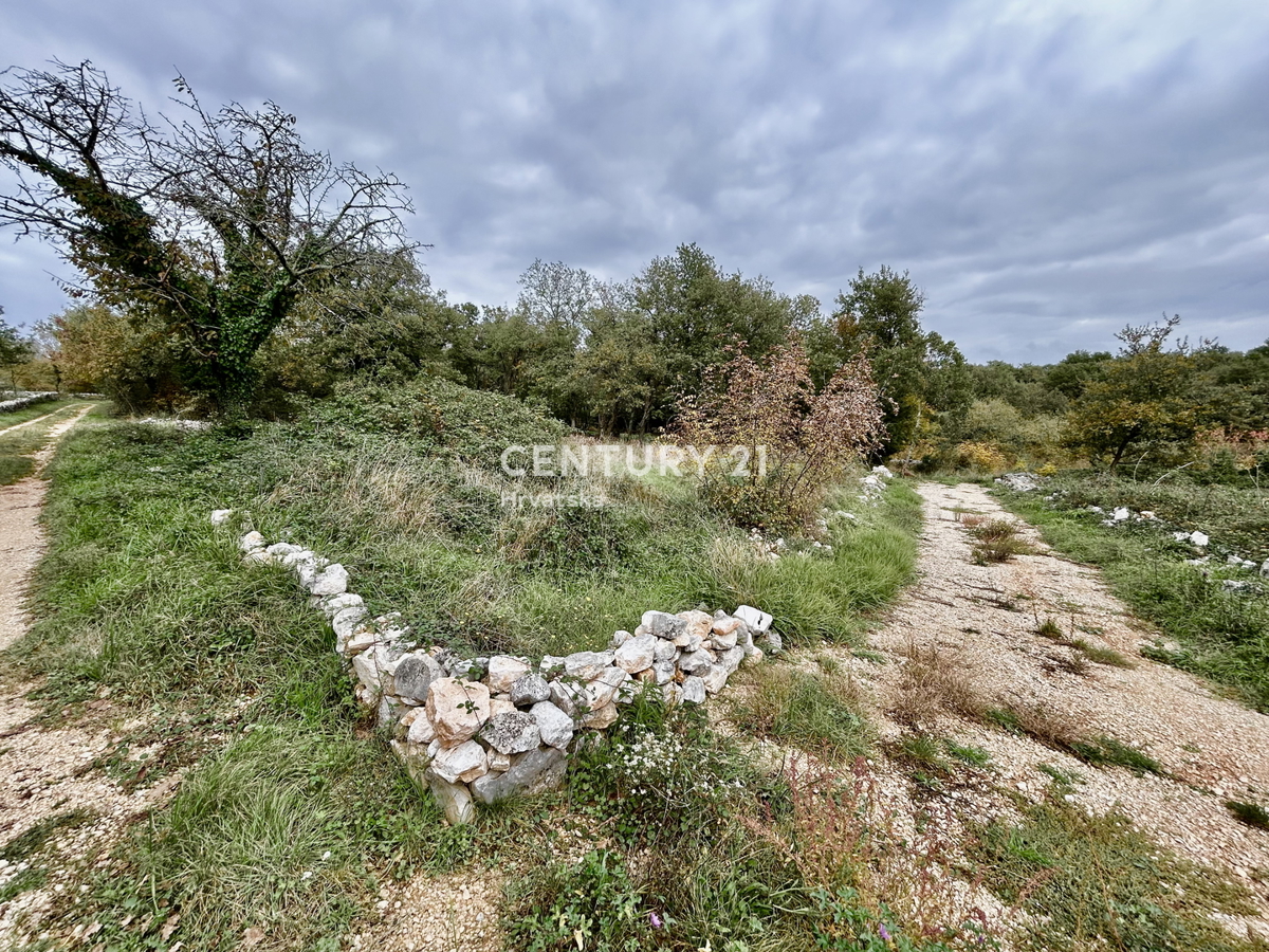 SVETI LOVREČ, OKOLICA, PRILOŽNOST, ODLIČNO GRADBENIŠKO ZEMLJIŠČE
