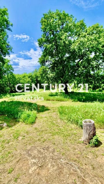 VRSAR, KAMNITA VILA S BAZENOM