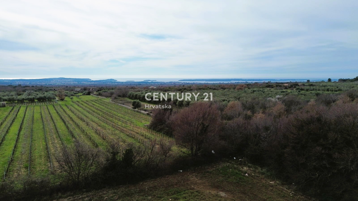 VODNJAN, GRADBENI ZEMLJIŠČE S POGLEDOM NA BRIJUNE