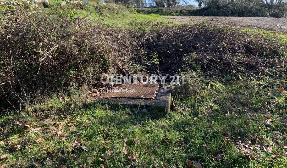 Prodaja, zemljišče, zazidljivo, Istarska županija, Sveti Lovreč